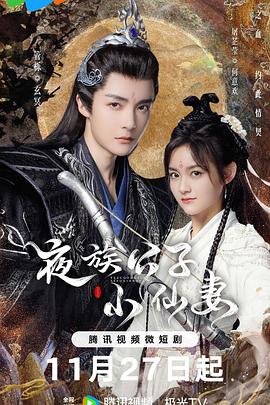 《夜族公子小仙妻》海报