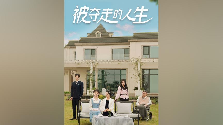 《被夺走的人生》海报