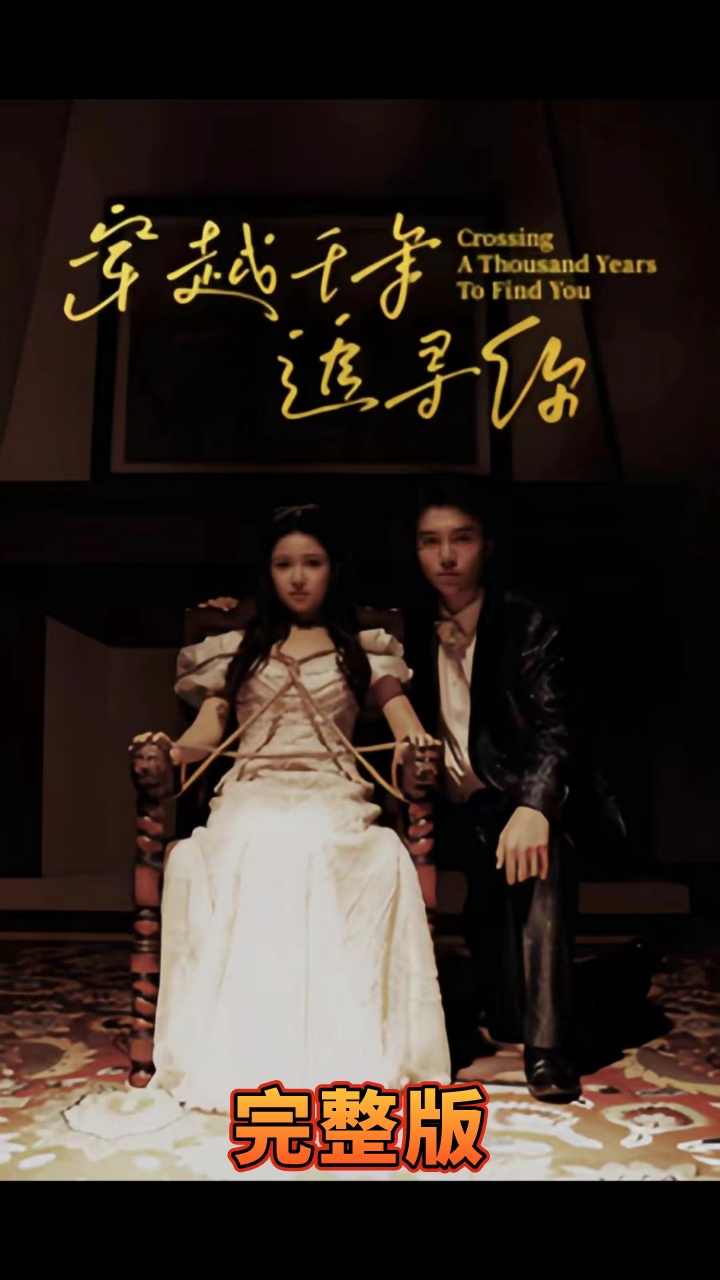 《穿越千年追寻你》海报