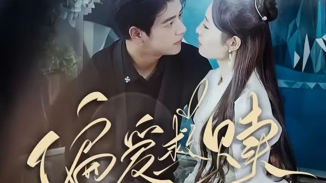 《偏爱救赎》海报