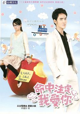 《命中注定我爱你》海报
