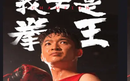 《我不是拳王》海报