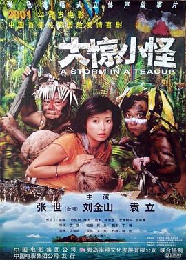 《大惊小怪 2000》海报