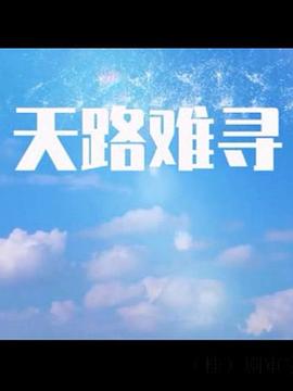 《天路难寻》海报