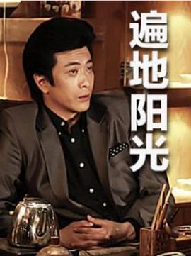 《遍地阳光》海报