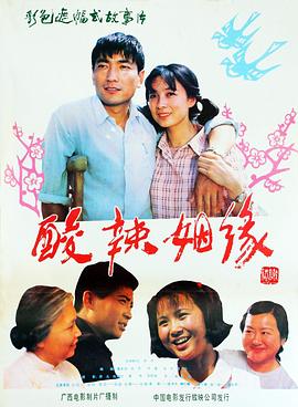《酸辣姻缘》海报