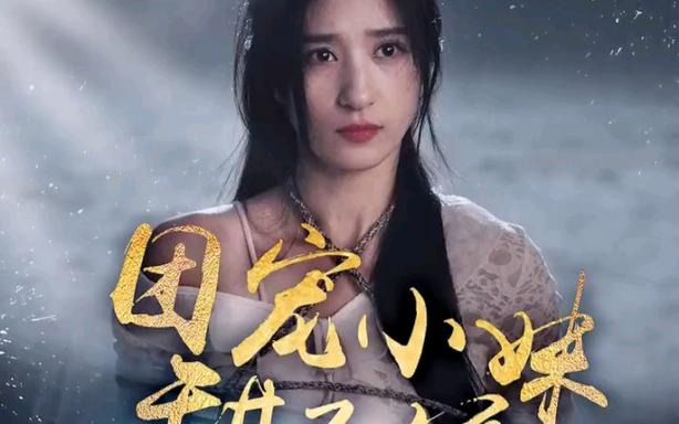 《团宠小妹甜又娇》海报