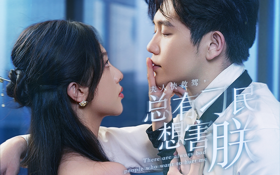 《夫人快救驾，总有刁民想害朕》海报