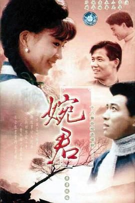 《婉君》海报