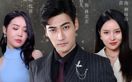 《离婚后，我继承了家业》海报
