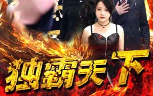 《独霸天下》海报