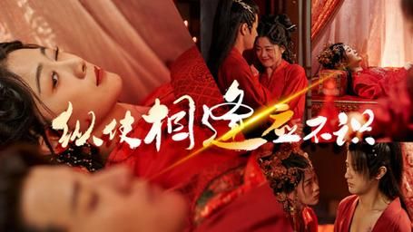 《纵使相逢应不识》海报