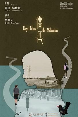 《徘徊年代》海报