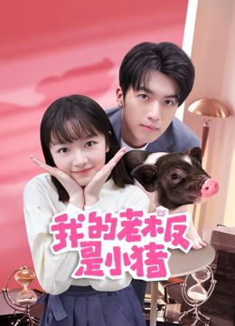 《我的老板是小猪》海报