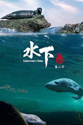 《水下中国 第二季》海报