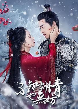 《不知剧情也无妨》海报