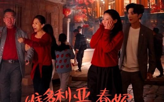 《维多利亚春妮回家过年100招》海报