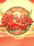 《2024湖北春晚》海报