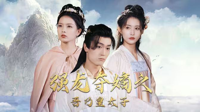 《强龙夺嫡之吾乃皇太子》海报