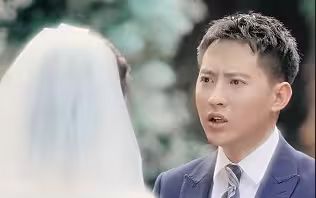 《逆袭刘公子归来》海报