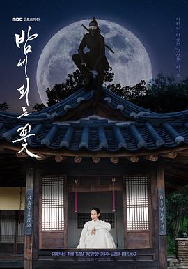 《夜晚开的花》海报