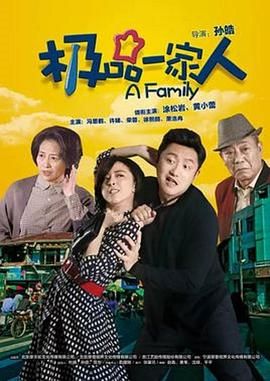 《极品一家人》海报