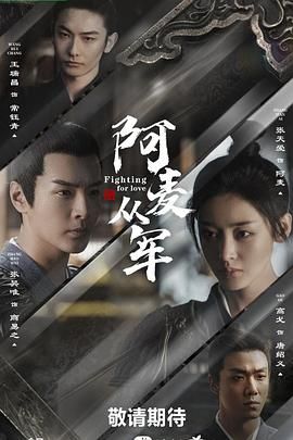 《阿麦从军》海报