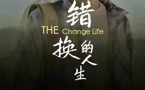 《错换的人生》海报