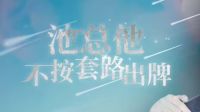 《池总他不按套路出牌》海报