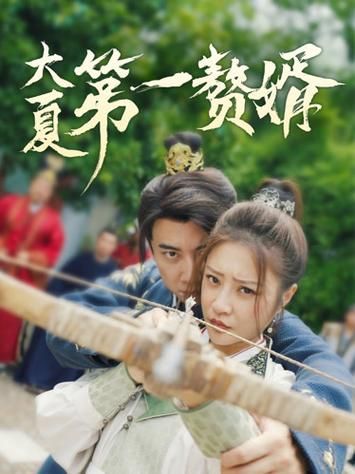 《大夏第一赘婿》海报