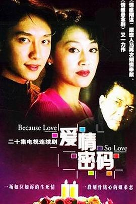 《爱情密码》海报