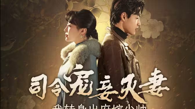 《司令宠妾灭妻，我转身出府嫁少帅》海报