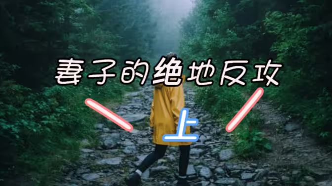 《妻子的绝地反攻》海报