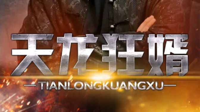 《天龙狂婿》海报