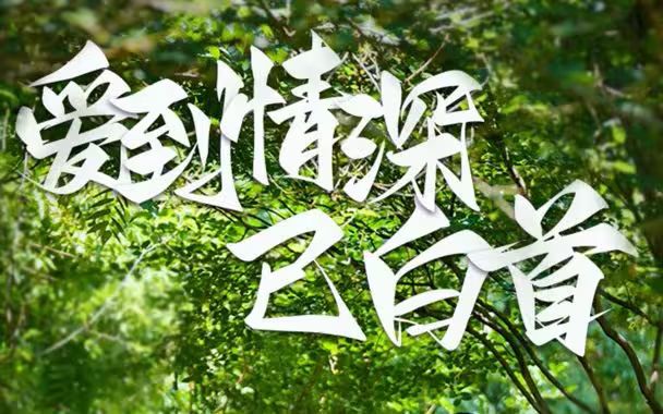《爱到情深已白首》海报