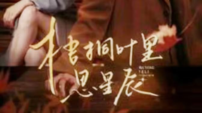 《梧桐叶里思星辰》海报