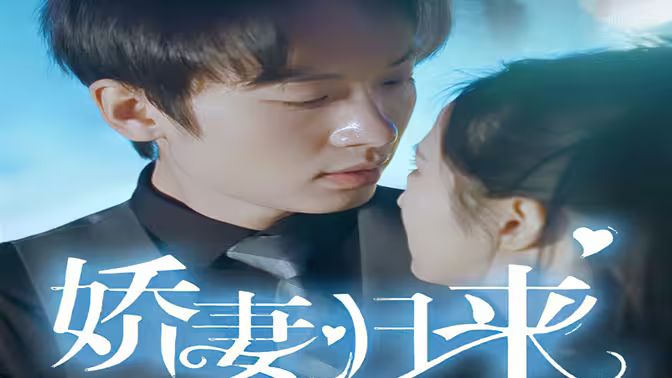 《新：娇妻归来》海报