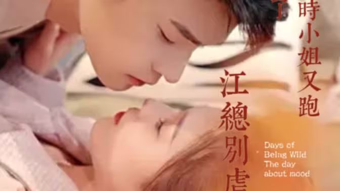《江总别虐，时小姐又跑了》海报