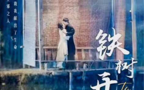 《铁树开花》海报