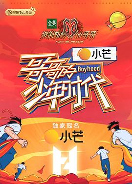 《哥哥的少年时代》海报