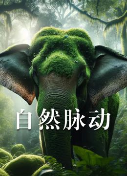 《自然脉动》海报