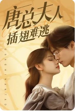 《唐总夫人插翅难逃》海报