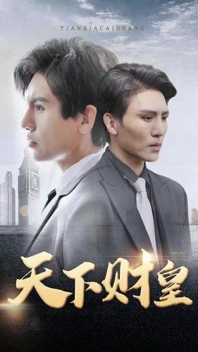 《天下财皇》海报