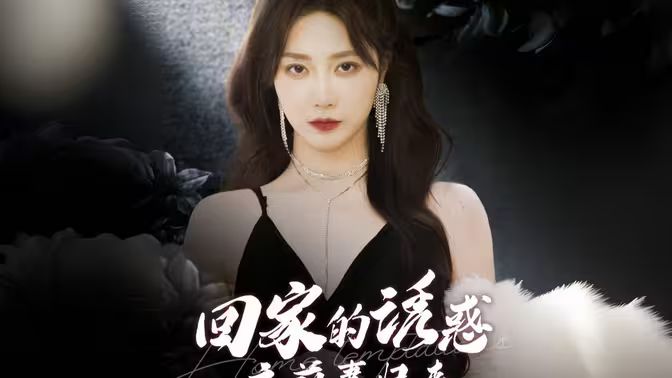 《回家的诱惑之前妻归来》海报