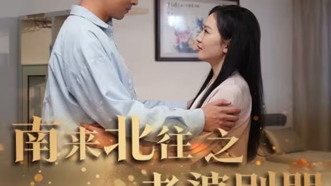 《南来北往之老婆别哭》海报