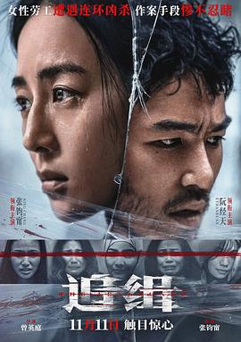《追缉》海报