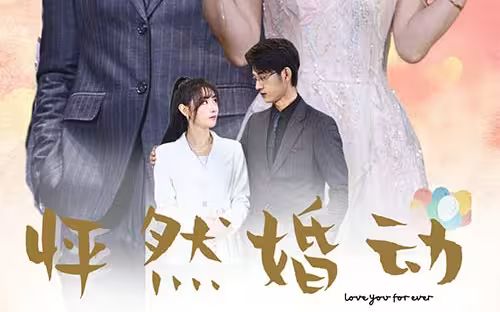《怦然婚动》海报