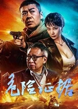 《危险证据》海报