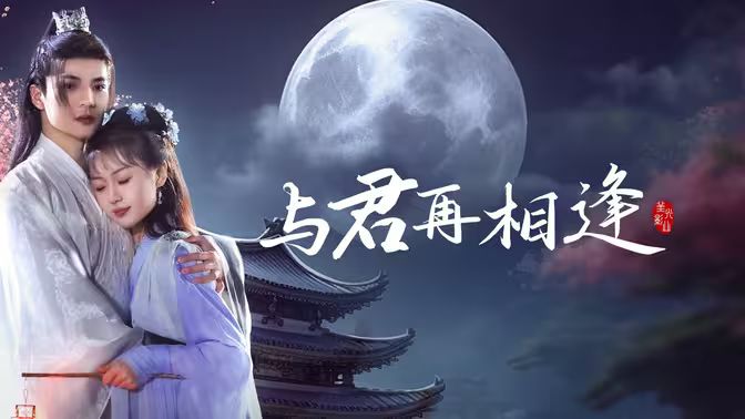 《与君再相逢》海报