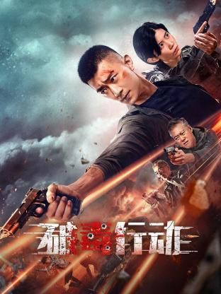 《破毒行动》海报